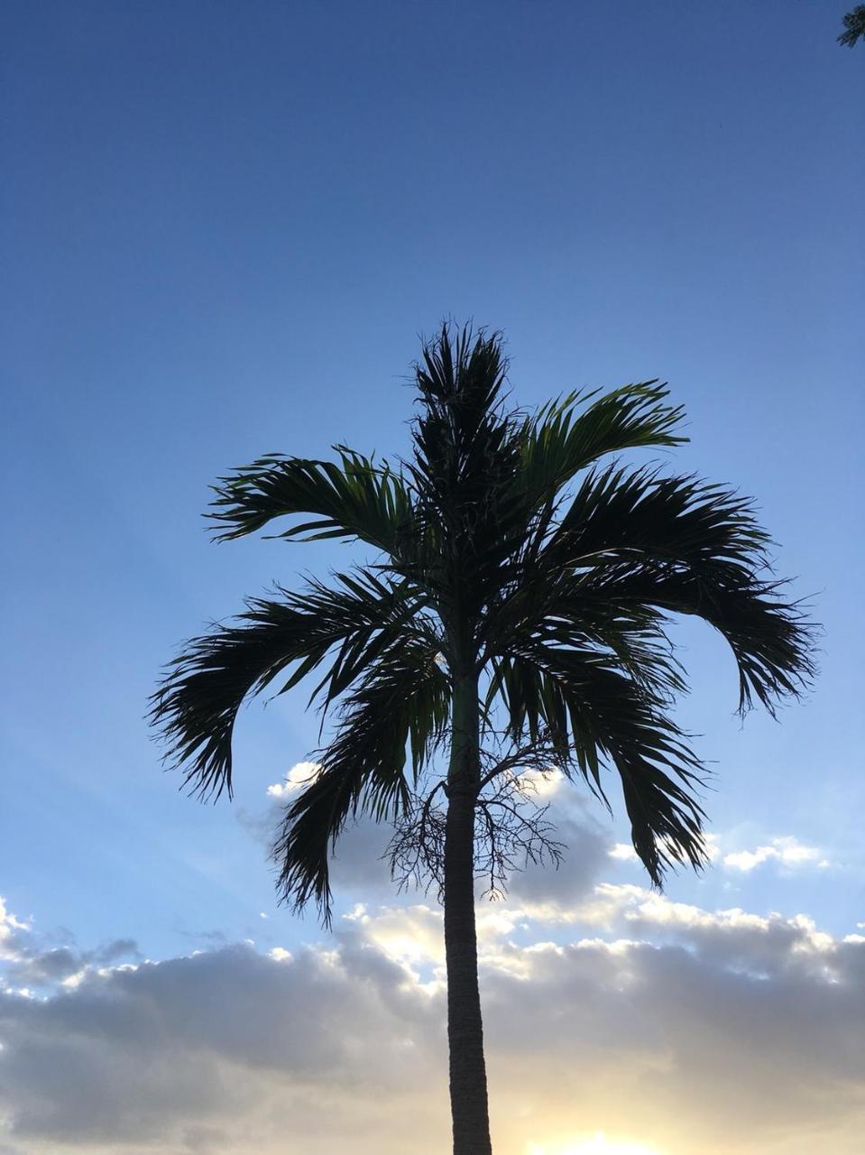 Y' Rise To Hotel Miyakojima Kültér fotó